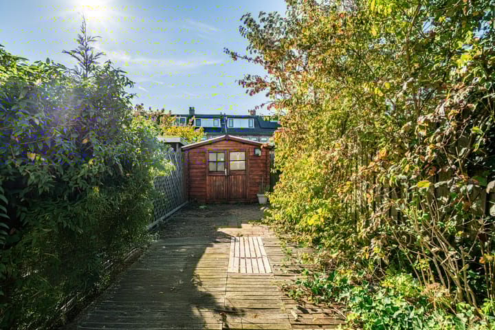 Photo 11 of Coornhertstraat 6