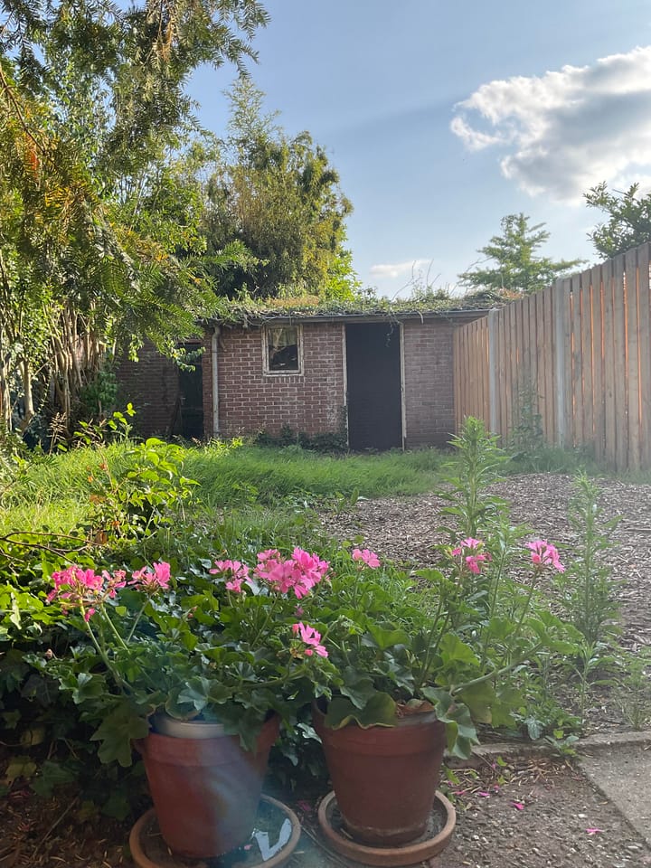 Foto 28 van Rubinsteinlaan 43