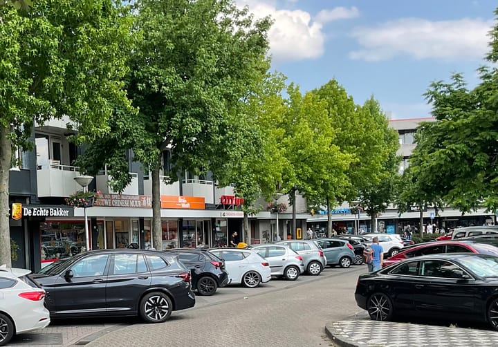 Foto 33 van Rubinsteinlaan 43