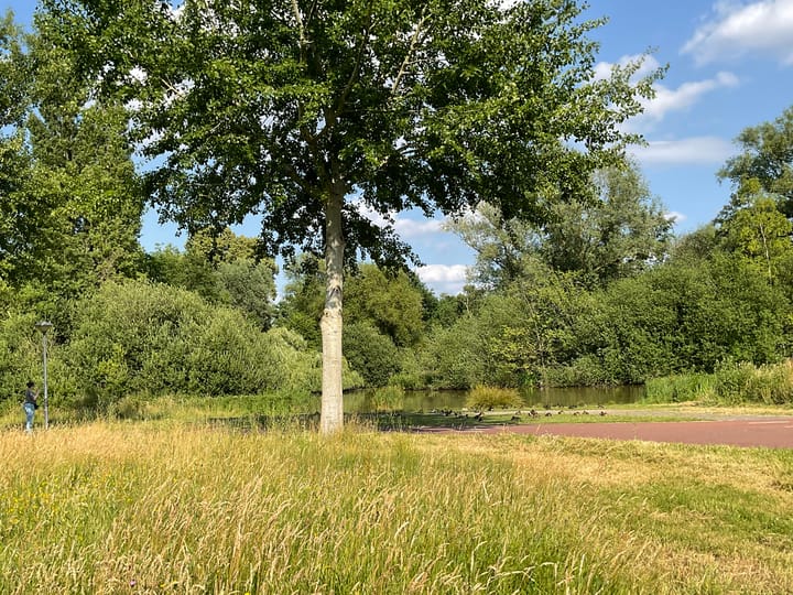 Foto 36 van Rubinsteinlaan 43