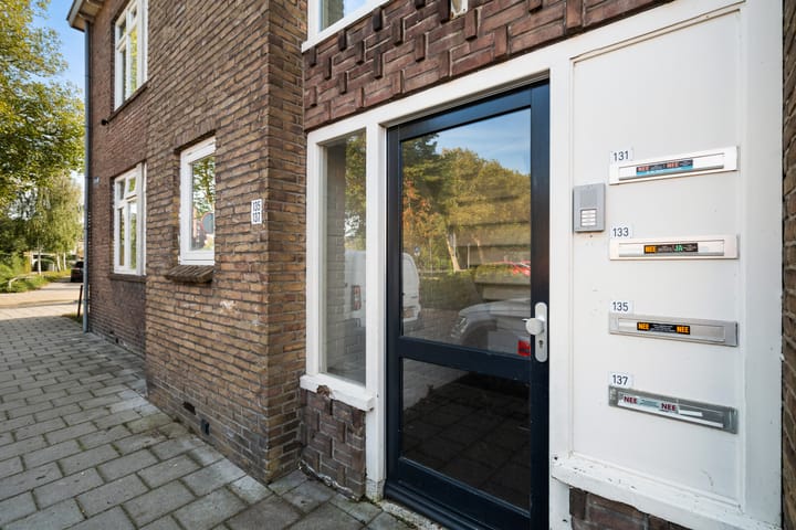 Foto 11 van Ieplaan 137