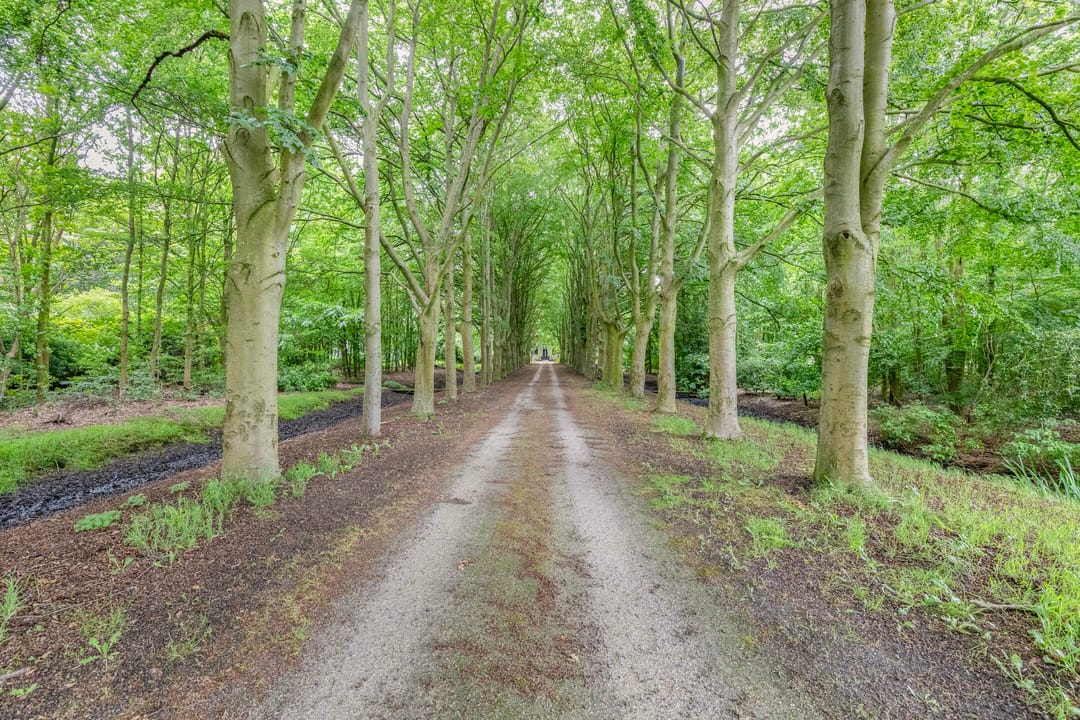 Foto 2 van Rijksweg West 65