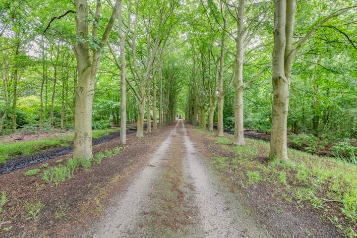 Photo 2 of Rijksweg West 65