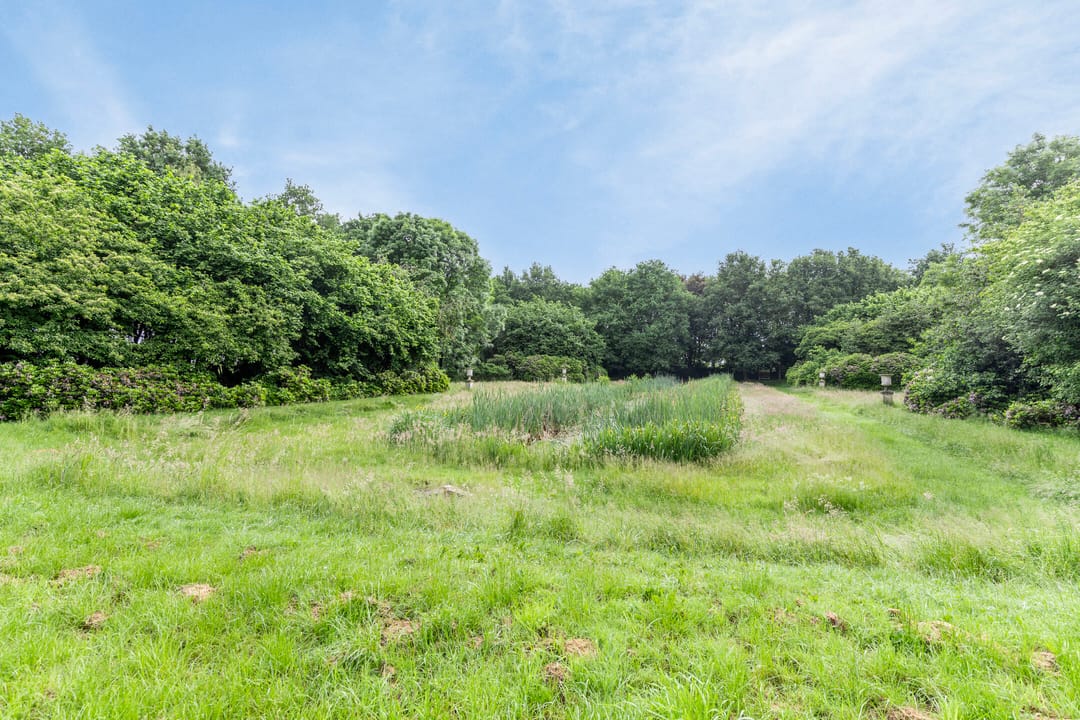 Foto 7 van Rijksweg West 65