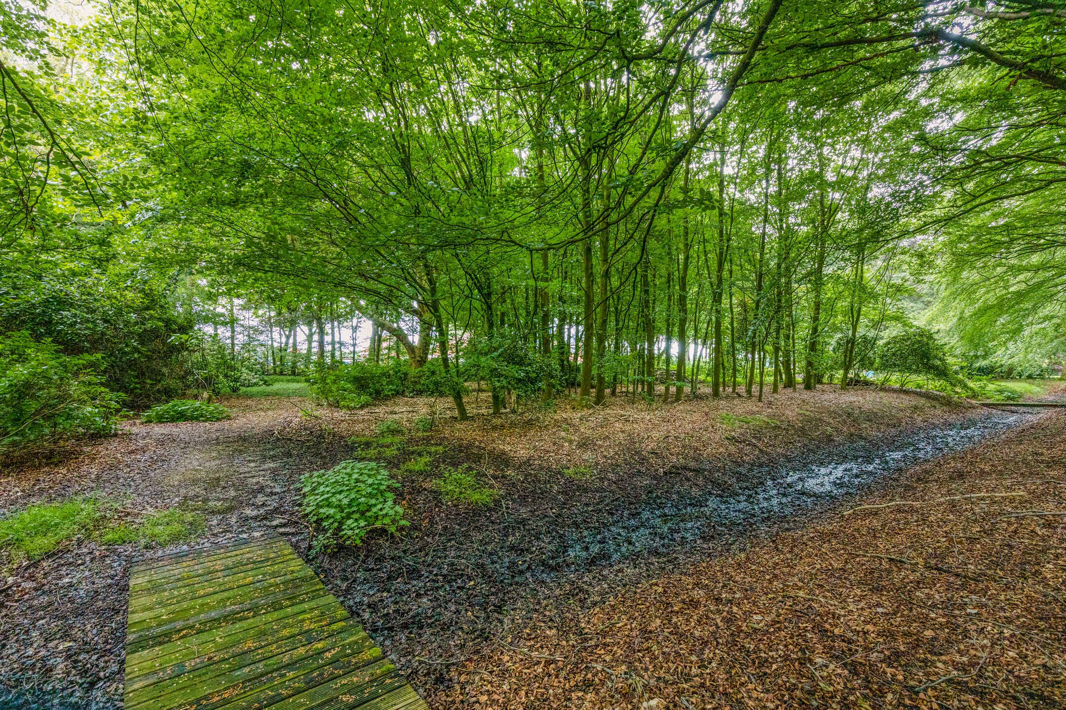 Foto 12 van Rijksweg West 65