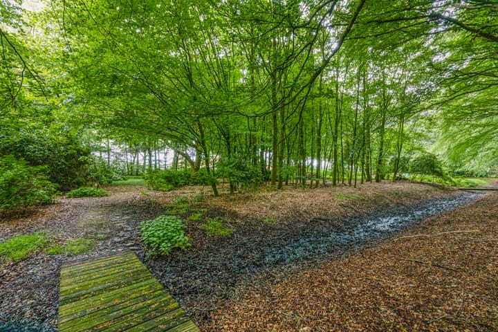 Foto 12 van Rijksweg West 65