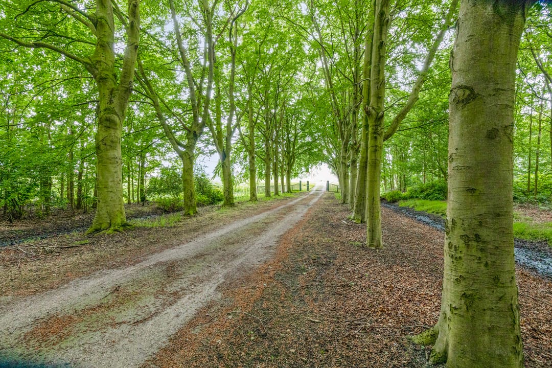 Foto 13 van Rijksweg West 65