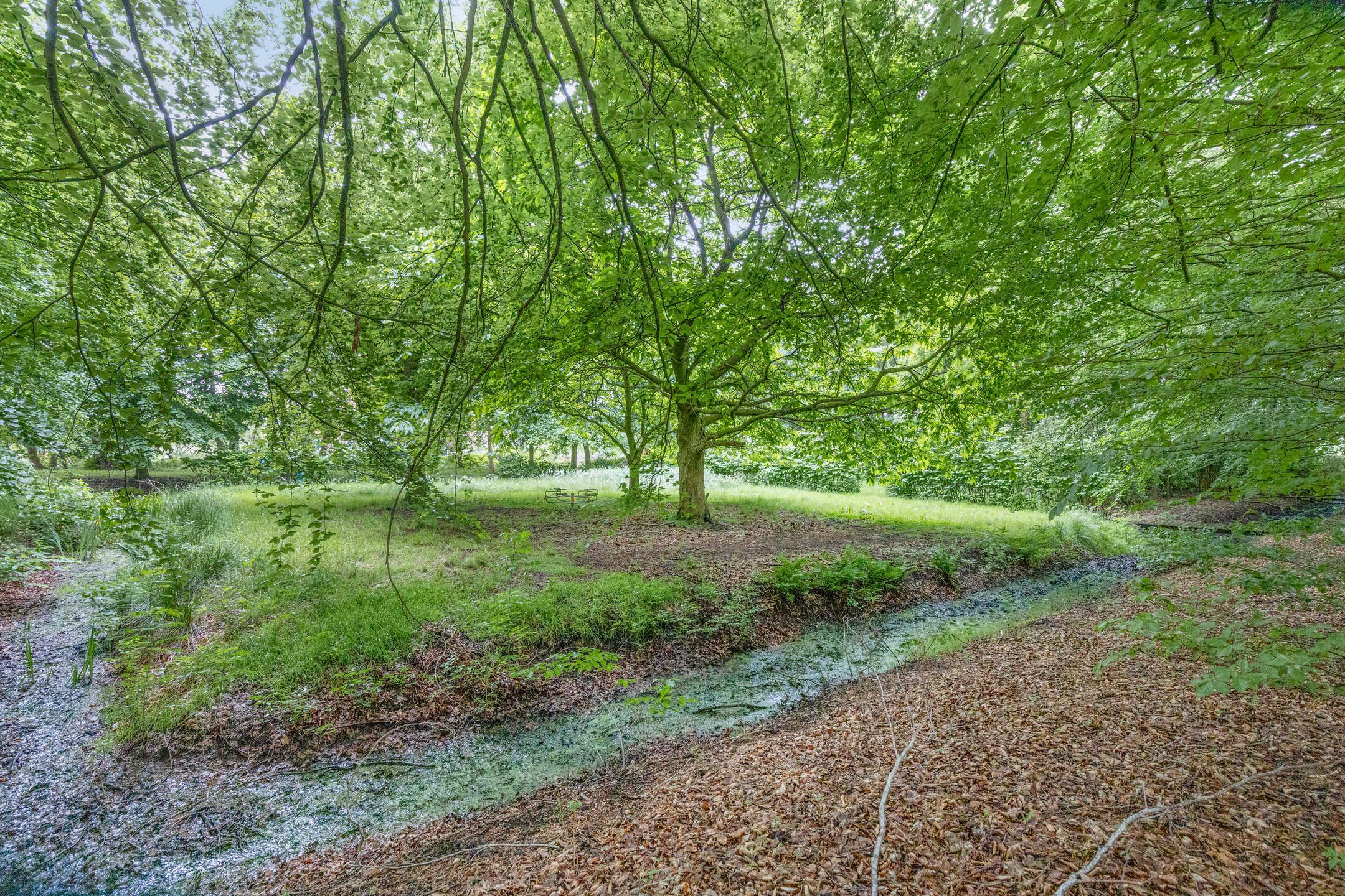 Foto 15 van Rijksweg West 65