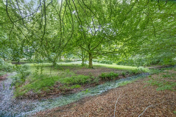 Foto 15 van Rijksweg West 65