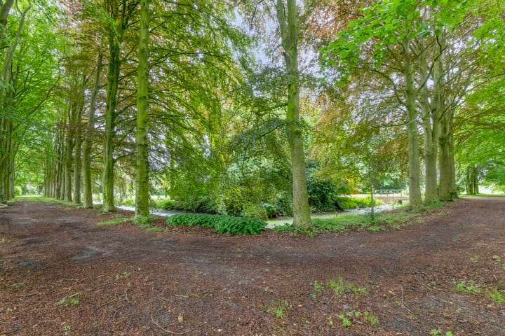 Foto 16 van Rijksweg West 65