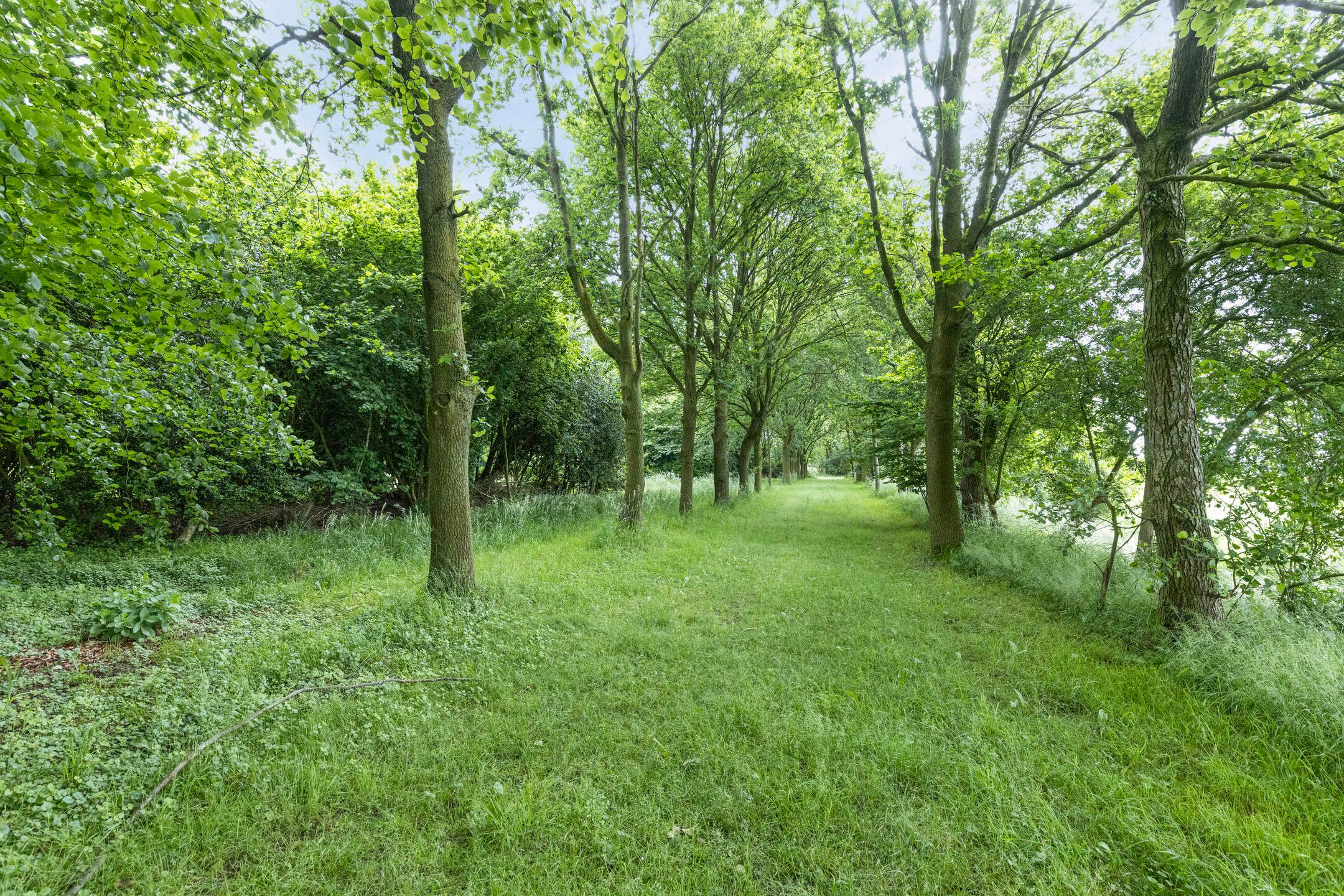 Foto 33 van Rijksweg West 65