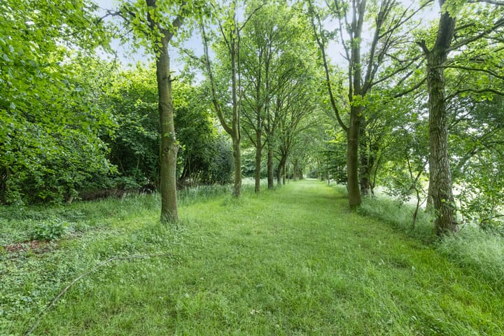 Foto 33 van Rijksweg West 65