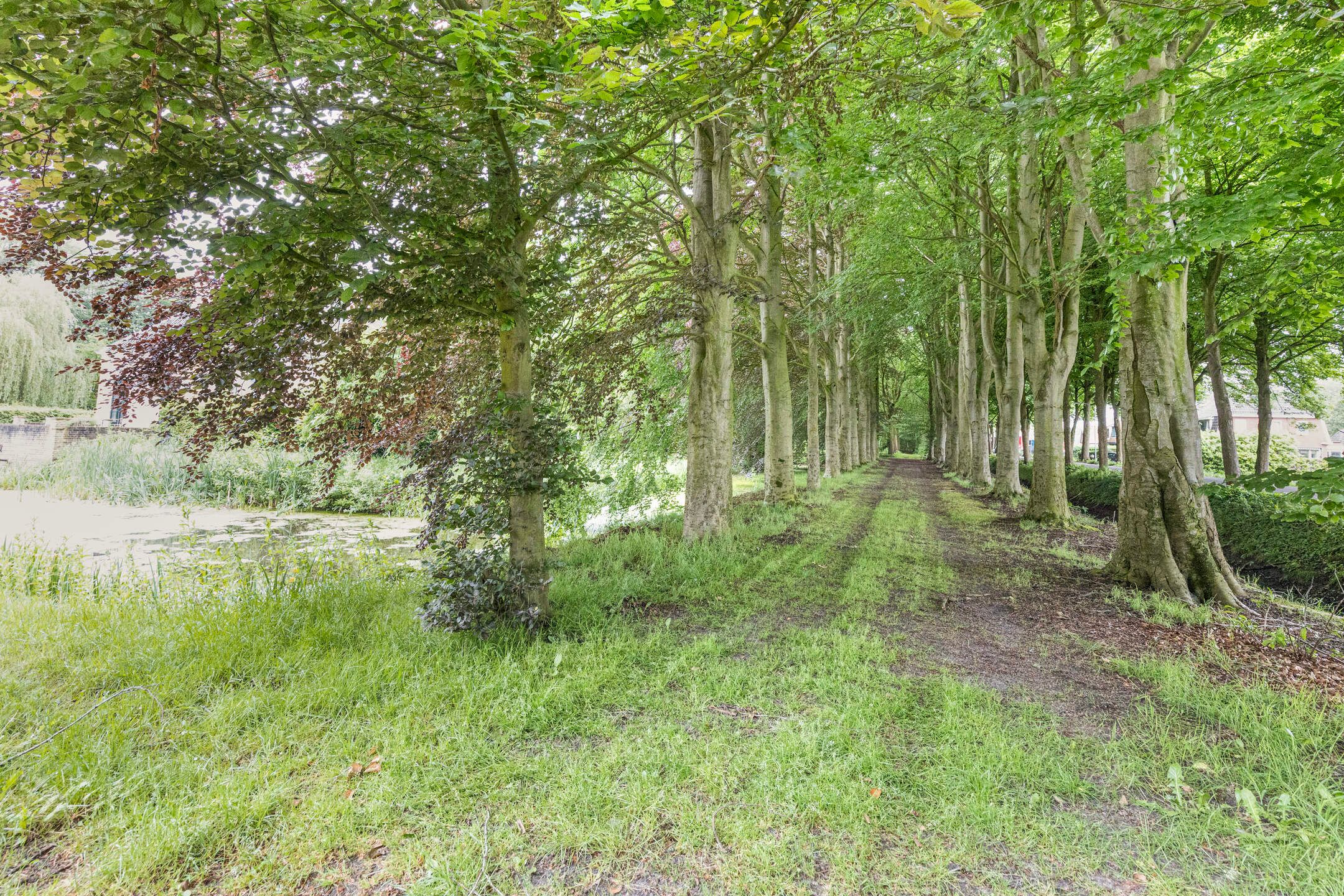 Foto 36 van Rijksweg West 65