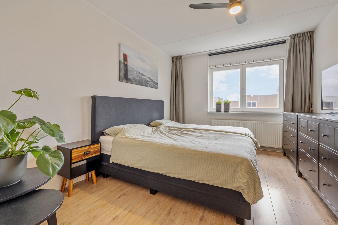 Photo 19 of Gaffel 44