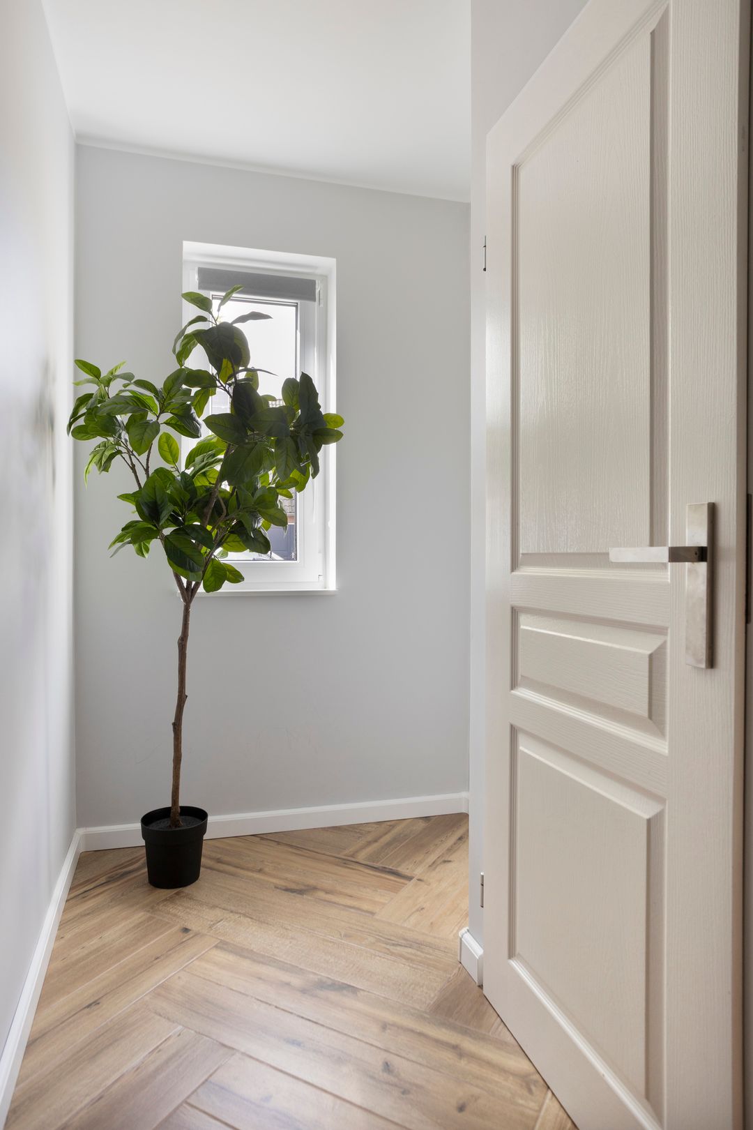 Photo 7 of Luitenakker 19