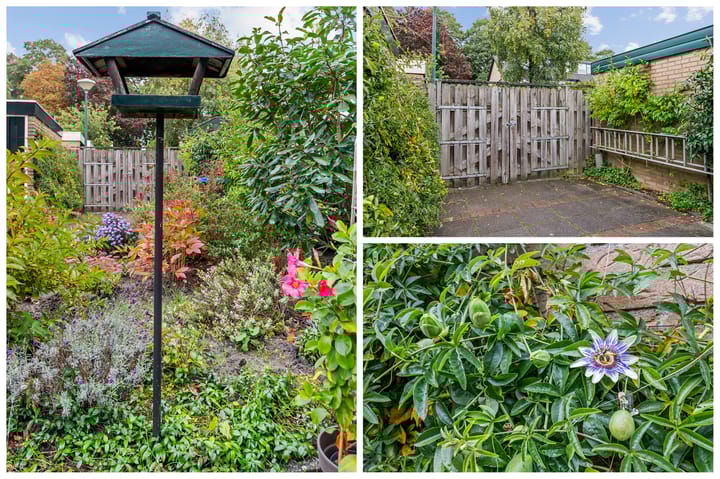 Photo 23 of Glazenierslaan 18