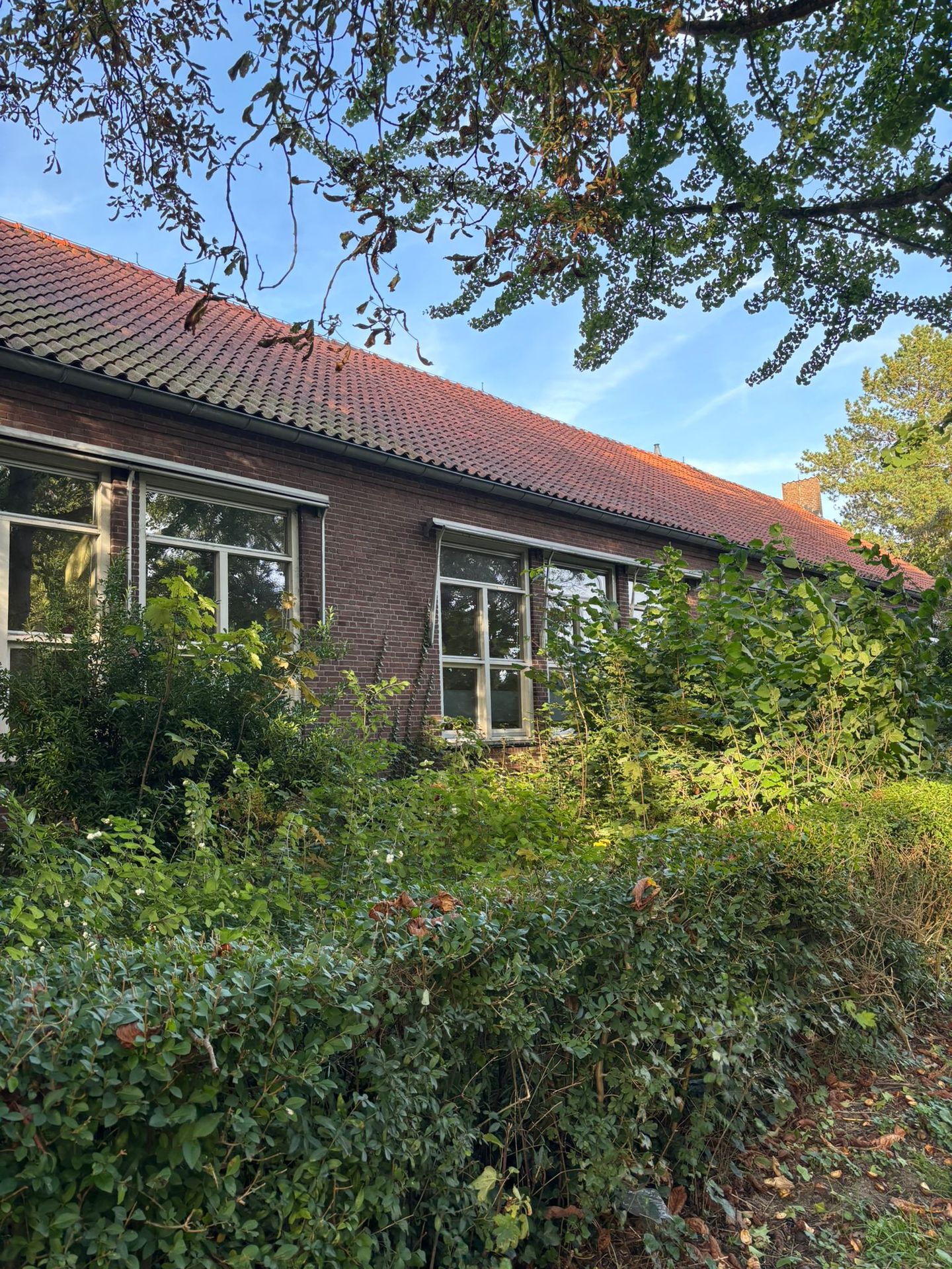 View photo 3 of Terpstraat 42