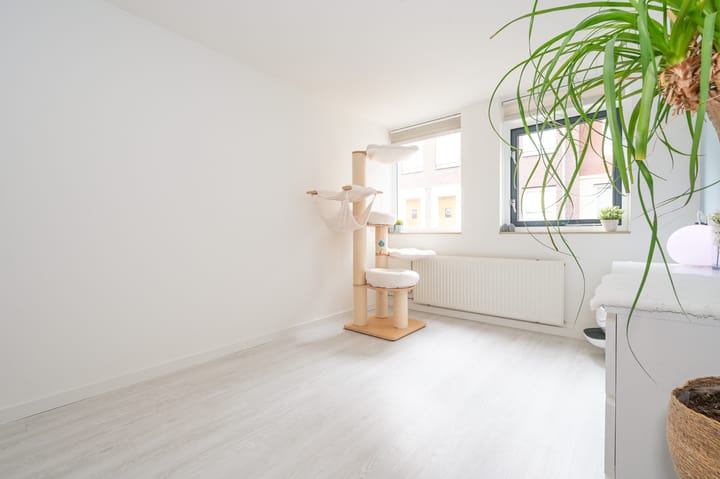 Foto 15 van Nachtegaalstraat 45