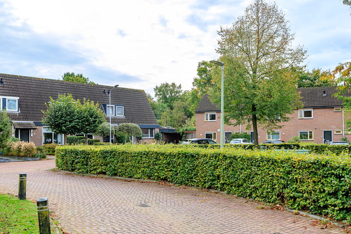 Foto 6 van Zonnedauw 15