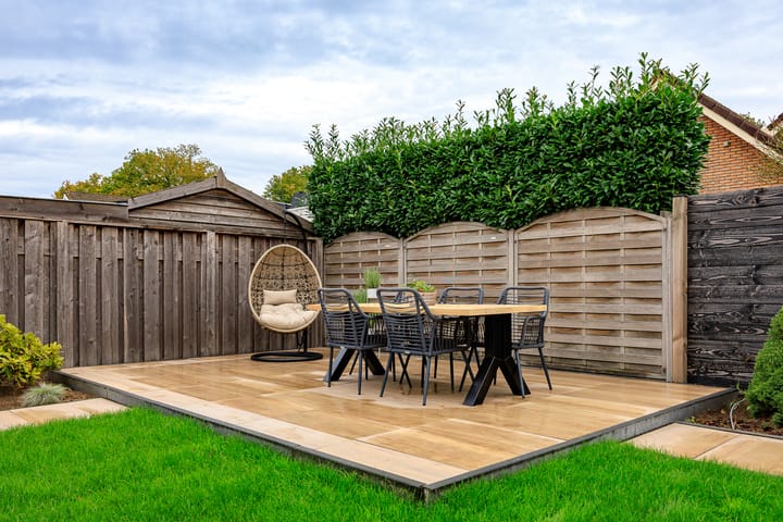 Foto 53 van Zonnedauw 15