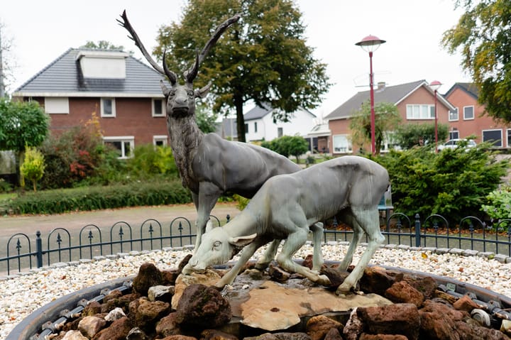 Foto 61 van Zonnedauw 15