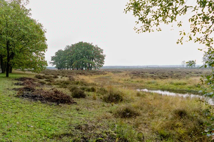 Foto 65 van Zonnedauw 15