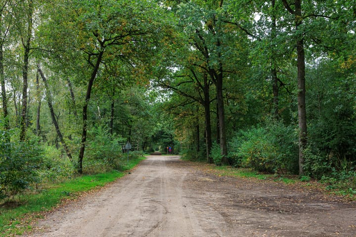 Foto 68 van Zonnedauw 15