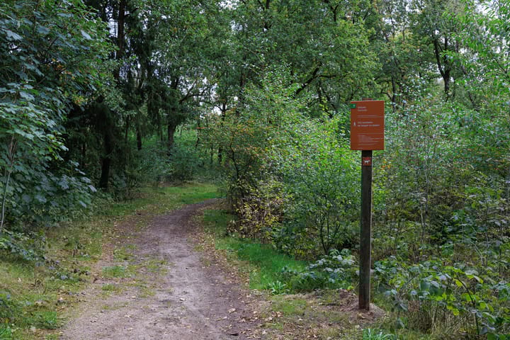 Foto 69 van Zonnedauw 15