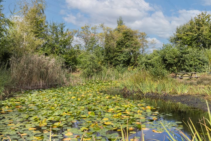 Foto 60 van Vikkerhoekweg 73