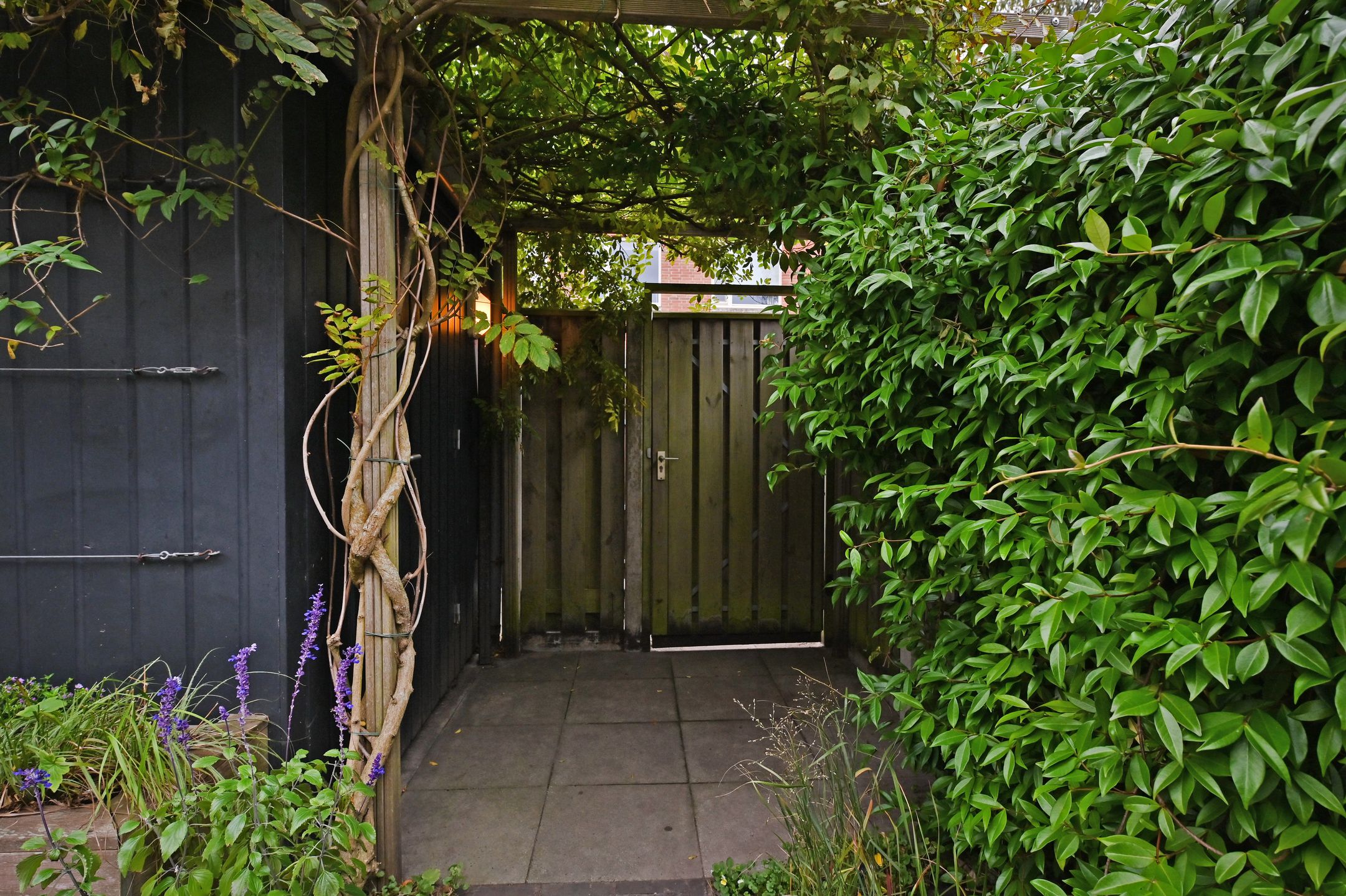 Foto 9 van Hof van Scheveningen 20