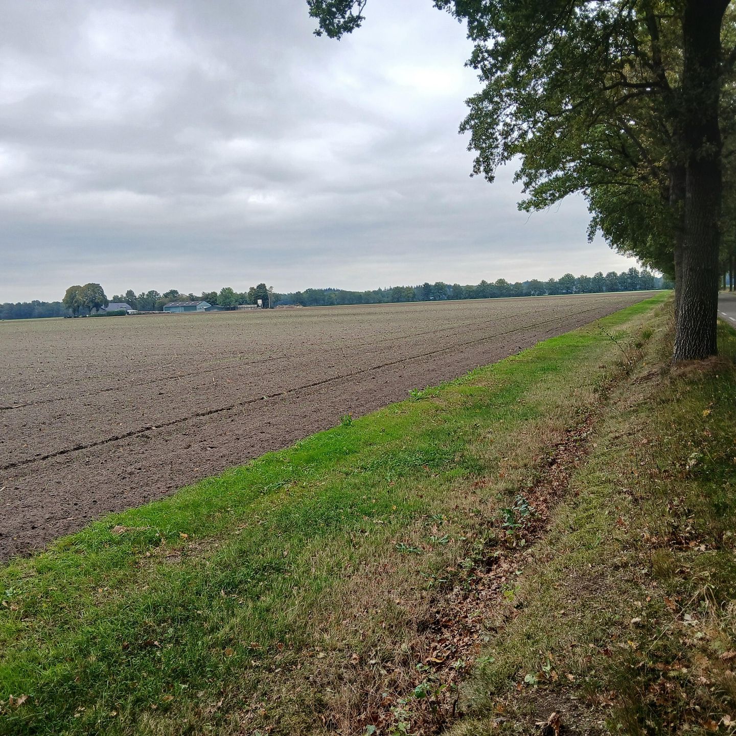 View photo 3 of Hanekampseweg De Quayweg