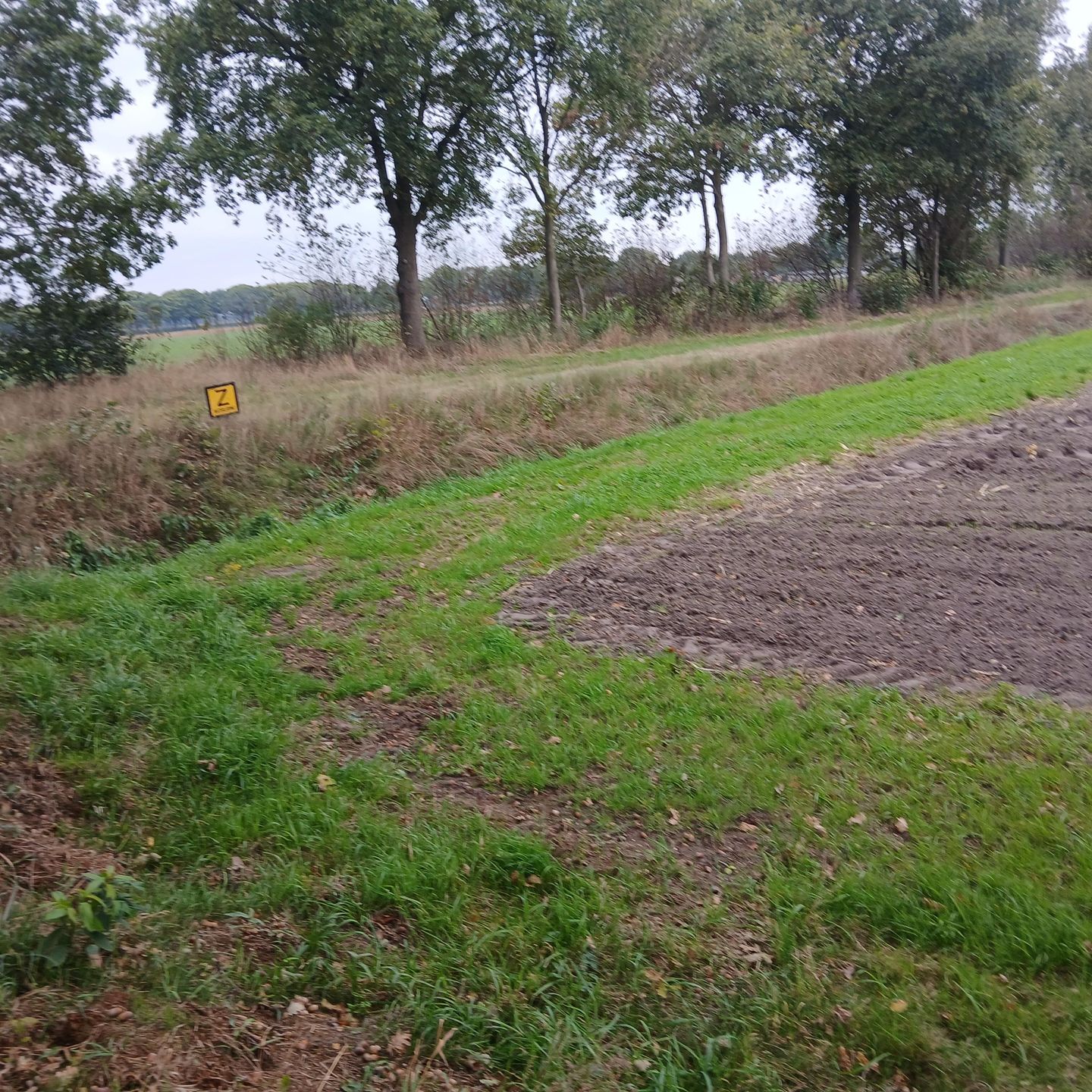 View photo 4 of Hanekampseweg De Quayweg