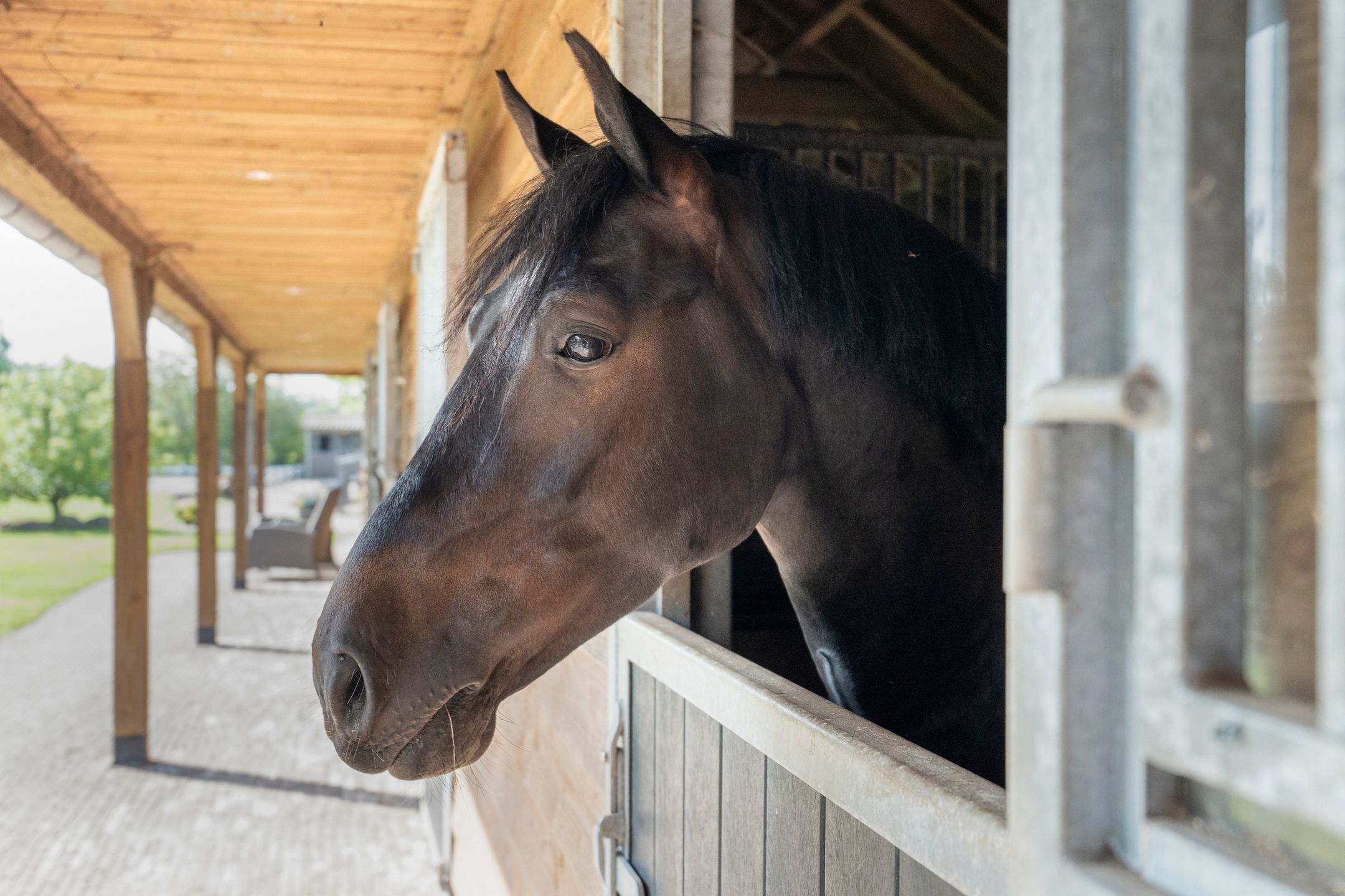 Foto 3 van Kastanjelaan 54