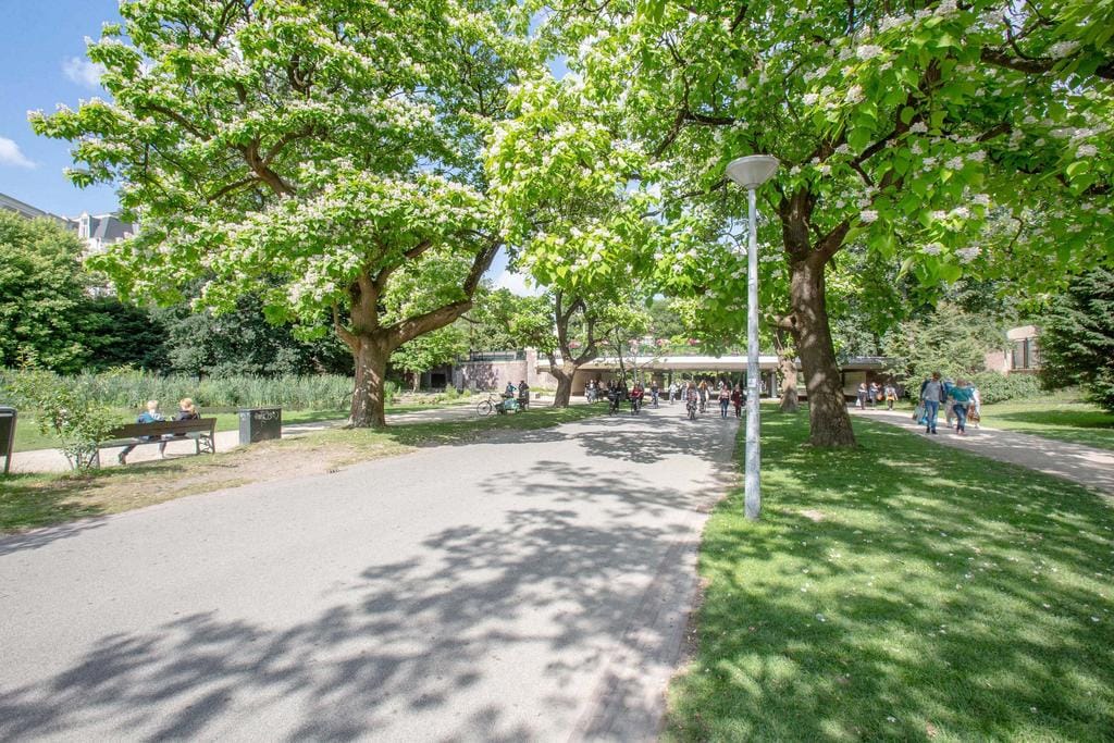 Photo 29 of Overtoom 394-4