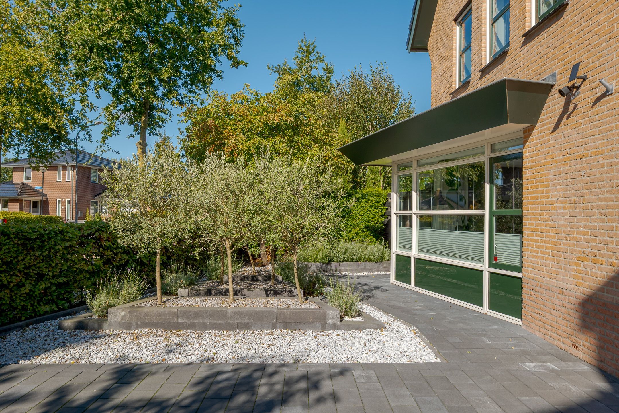 Photo 6 of Homaat 14