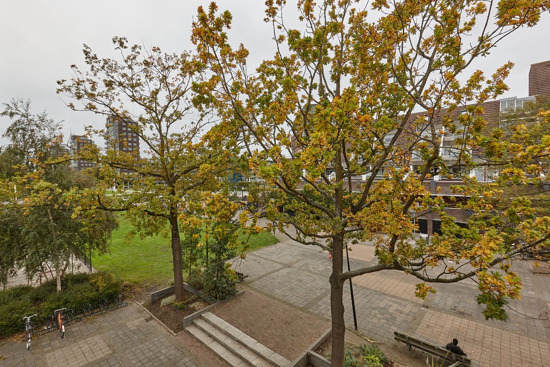 Foto 13 van Florijn 47