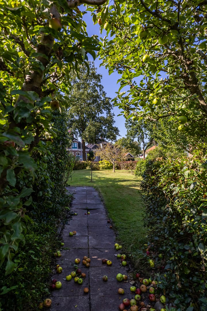 Foto 23 van Herenstraat 67