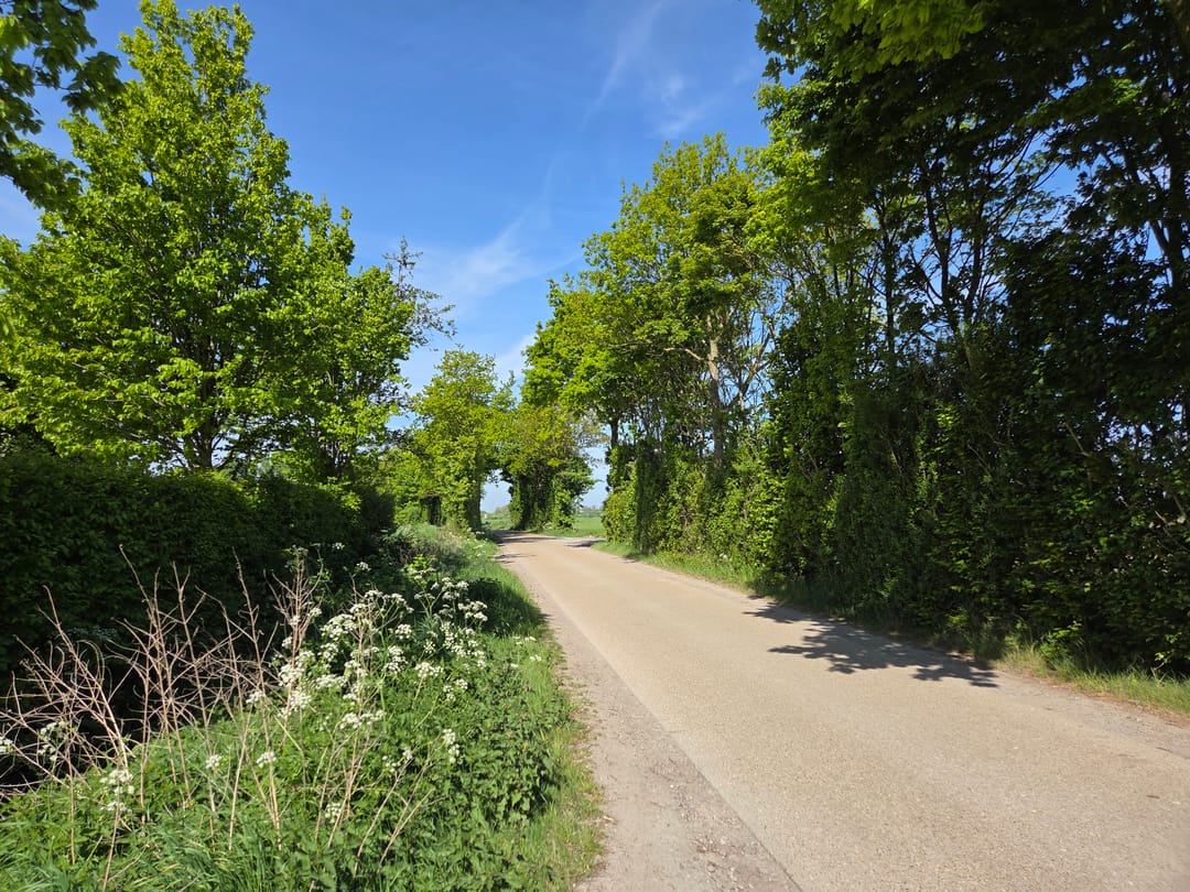 Foto 76 van Golsteinseweg 6