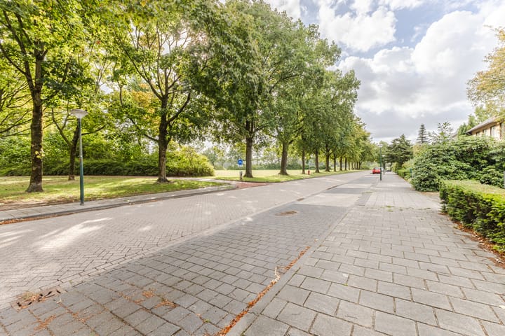 Foto 50 van Rozelaar 16