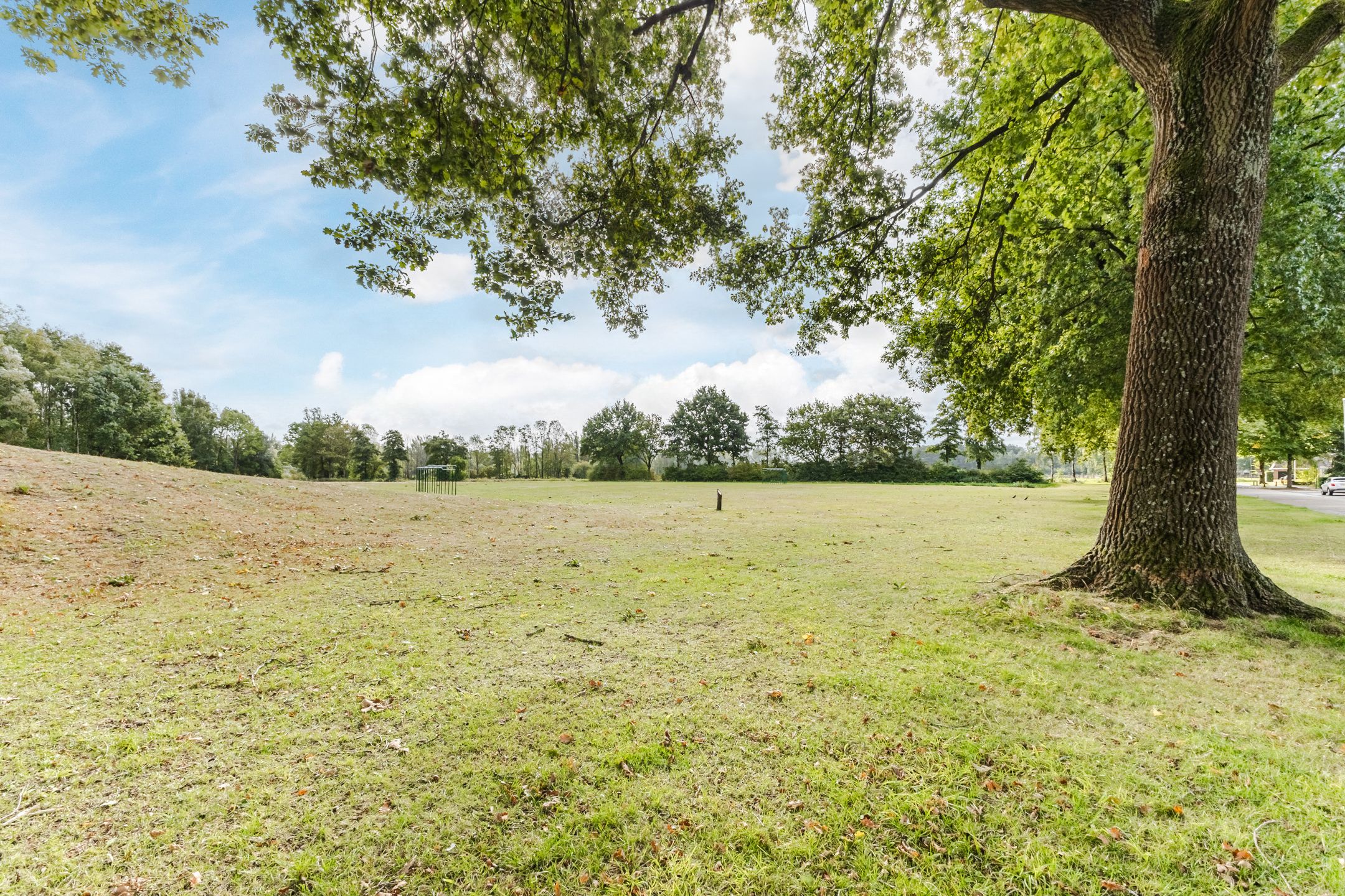 Foto 51 van Rozelaar 16