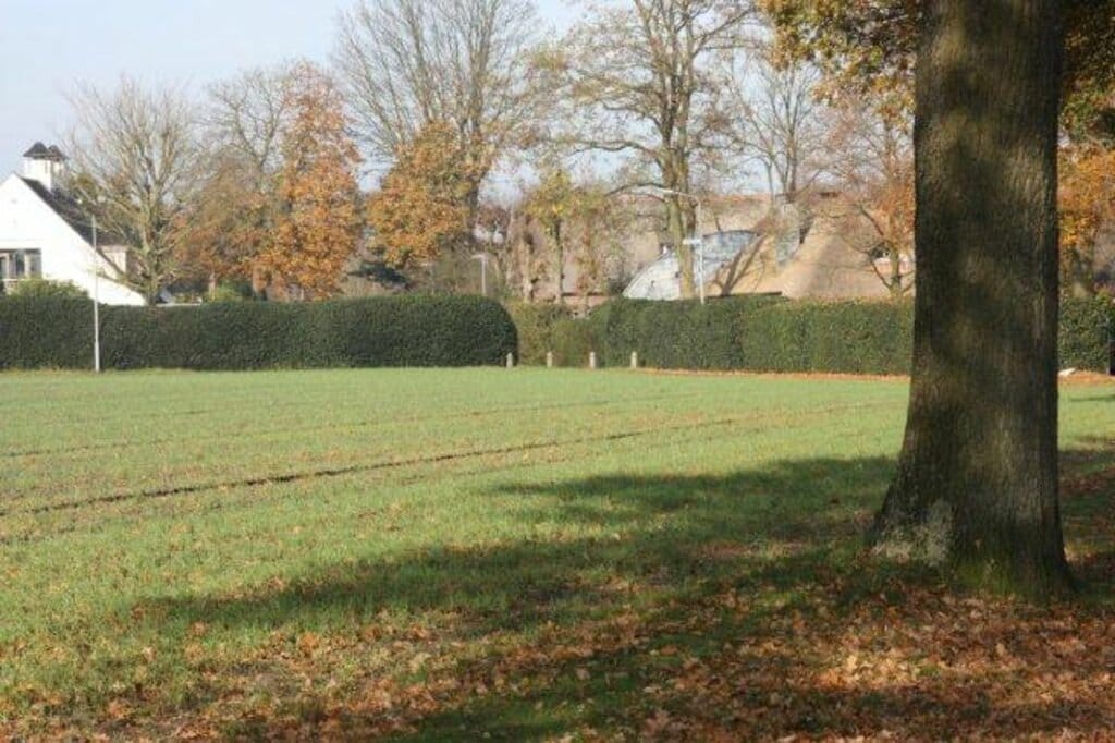 Photo 8 of De Dissel 35