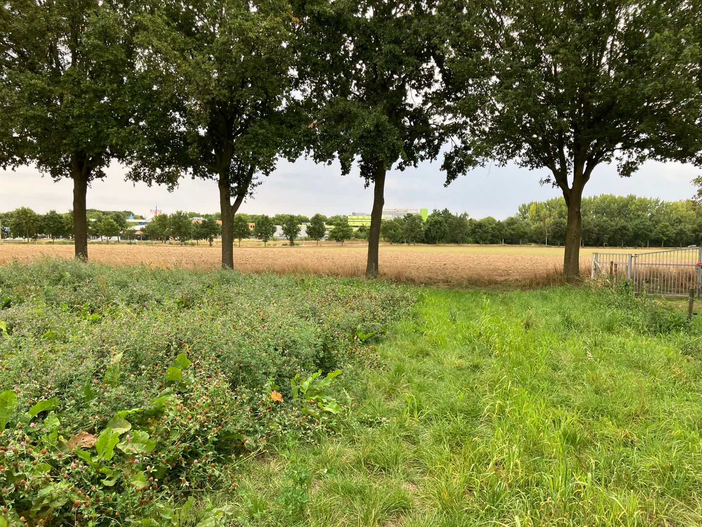 Bekijk foto 5 van Leeuwerik