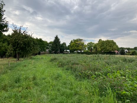 Bekijk foto's