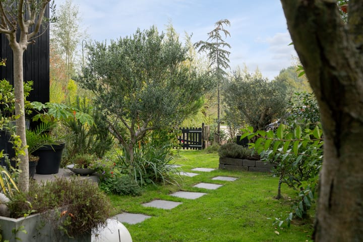 Foto 19 van 's-Gravenweg 74