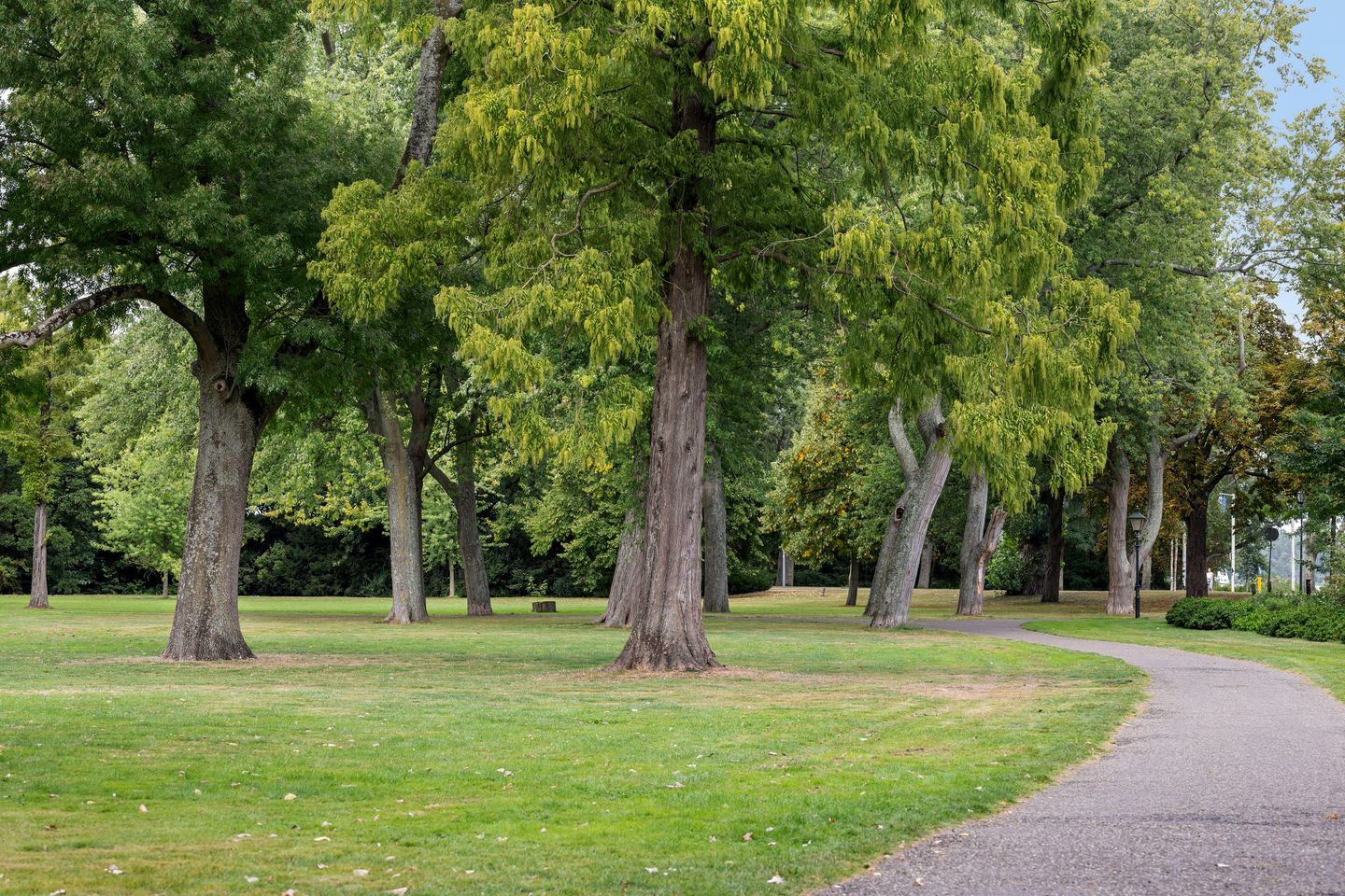 Foto 64 van Rozenburglaan 17