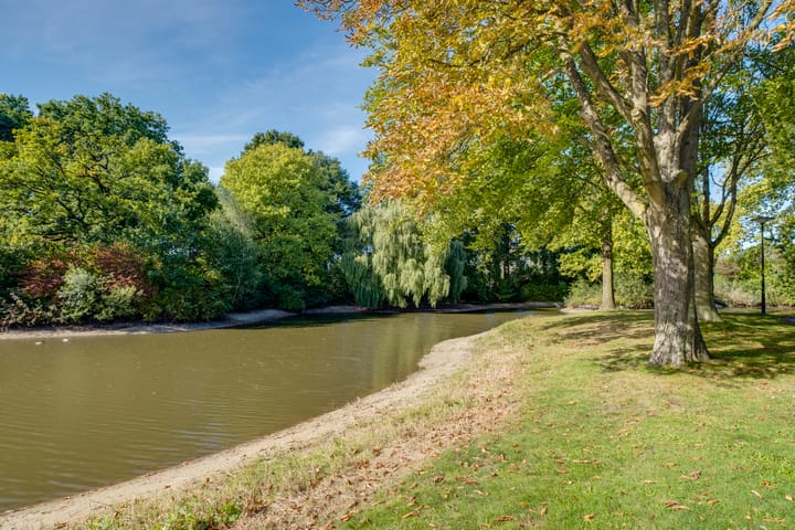 Foto 29 van Jan Telkampstraat 18