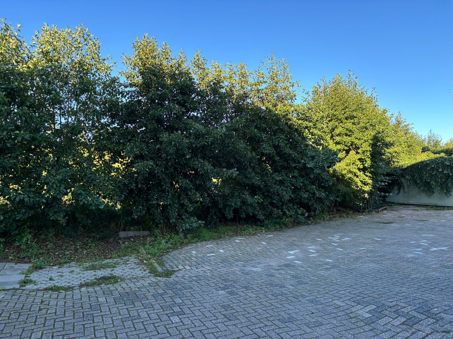 Bekijk foto 4 van Atoomweg 10