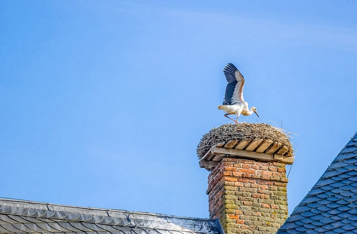 Photo 82 of Badhuisstraat 2-A