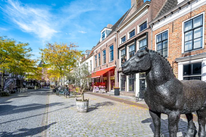 Photo 100 of Badhuisstraat 2-A