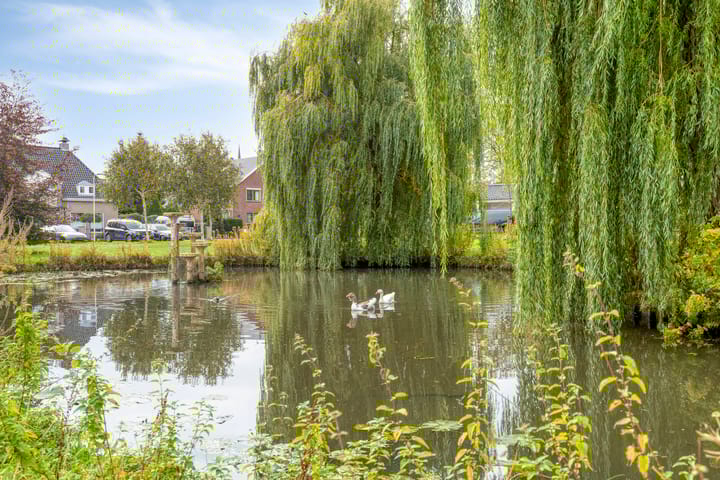 Foto 31 van Willibrorduslaan 47